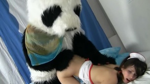 Cute fuzzy panda and a teen nurse have mad sex